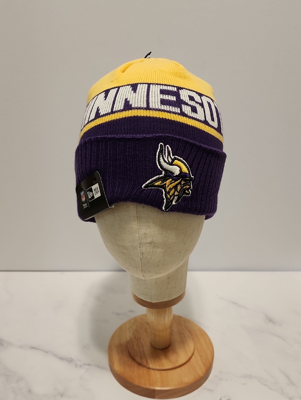 Minnesota  Vikings NFL Winter Hat Brand New